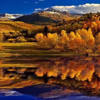 ManBetX手机网页版登录注册截图