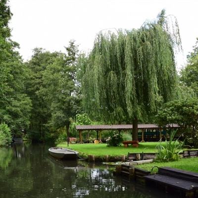 im电竞·(中国)官方网站截图