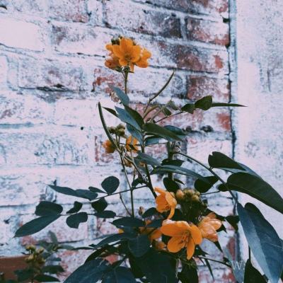 im电竞·(中国)官方网站